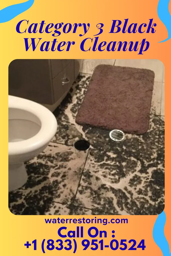 Category 3 Black Water Cleanup in Rock Springs, NM
