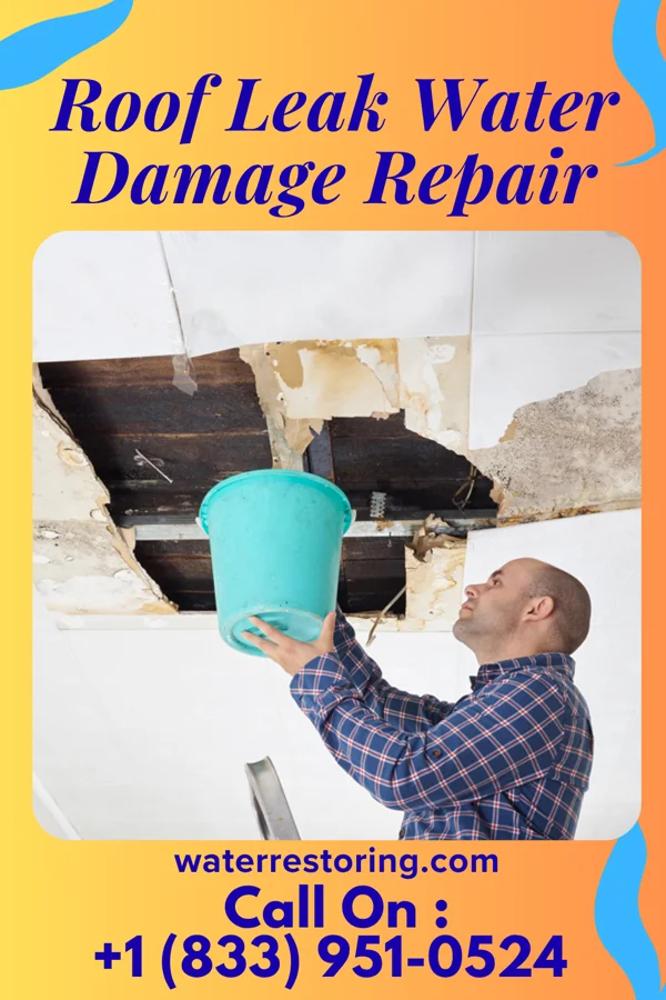 Roof Leak Water Damage Repair in Rock Springs, NM